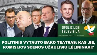 Prezidento rinkimų kova suvienijo Skvernelio demokratus ir Landsbergio konservatorius?