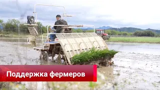 В сельском хозяйстве КНР растёт объём кредитования