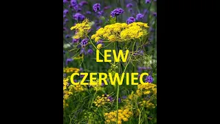 Tarot# LEW # CZERWIEC 2024