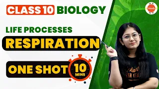 Respiration One Shot Revision in 10 Mins | Life Processes Class 10 Science Biology #CBSE2024