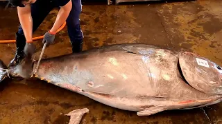 Perfect and Comfortable Bluefin Tuna Cutting Process and Skill