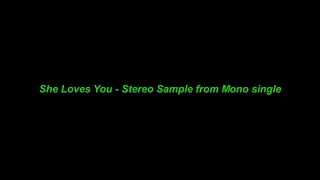 She Loves You  Stereo Sample From Mono Single