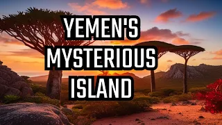 Mysteries of Socotra  Yemen's Hidden Gem