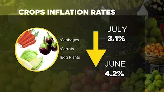 UGANDA'S INFLATION RATE DROPS