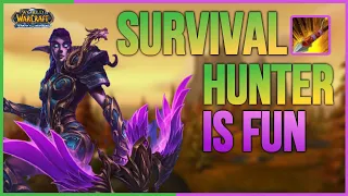 Survival Hunter is fun! 🏹 - PvP 3.3.5 / Battlegrounds WARMANE WotLK Classic 2022