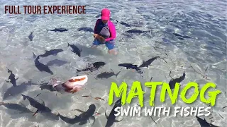 MATNOG ISLANDS | Juag Lagoon | Mas sulit pa sa mga sikat na beach destinations sa Pinas