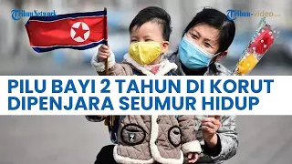 KISAH SEDIH Bayi 2 Tahun di Korea Utara Dipenjara Seumur Hidup karena Orangtua Punya Alkitab