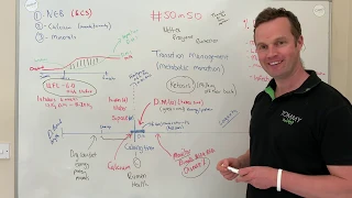 #50in50 Video 40  Transition management in dairy cows