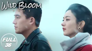 【FULL】Wild Bloom EP36:  Xu Banxia and Tong Xiaoqi Surrender to Plead Guilty| 风吹半夏 | iQIYI