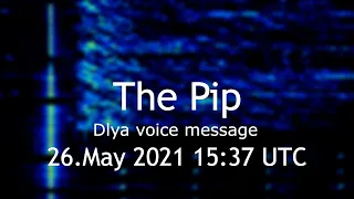 The Pip Dlya voice message 26.May 2021 15:37 UTC