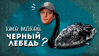 Кто такой ЧЕРНЫЙ ЛЕБЕДЬ?