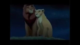 lion king - simba life