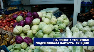 На ринку у Тернополі подешевшала капуста: які ціни