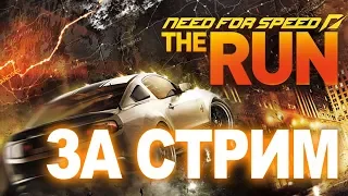 МАРАФОН! Need for Speed: The Run за ОДИН СТРИМ на руле Thrustmaster T-GT.