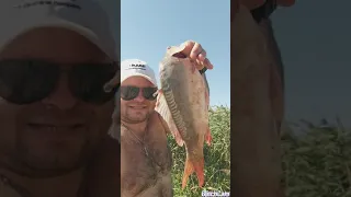 Рыбалка на Донузлаве с друзьями