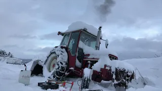 1977 International Harvester 574. Cold start, Snowblowing, Diesel problems, Broken pto ujoint.