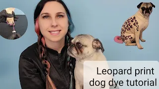 Leopard print dog dye tutorial