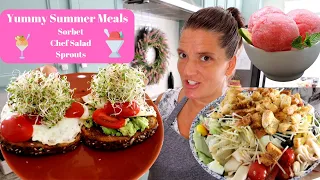 Yummy Summer Meals- Sprouts-Homemade Sorbet- Chef Salads