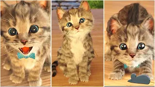 MY LOVELY LITTLE KITTEN ADVENTURE | BEST PETS EDUCATIONAL VIDEO FOR CHILDREN| Cat Story