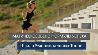 Магическое звено формулы успеха 3. Шкала Эмоциональных Тонов