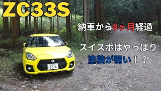 【ZC33S】納車から8ヶ月経過、スイスポはやっぱり塗装が弱い！？【スイフトスポーツ】