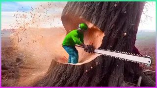 Satisfying Videos of Workers Doing Their Job Perfectly | Compilation