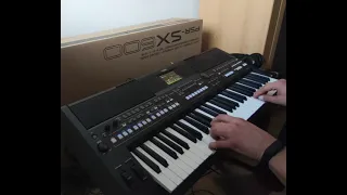 Andrzej Rybiński - Nie liczę godzin i lat . Yamaha  PSR SX600 / cover