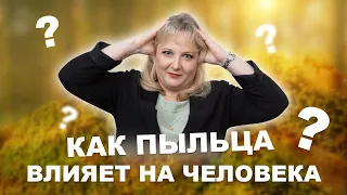 Полезно ли есть пыльцу? Как она влияет на здоровье человека?