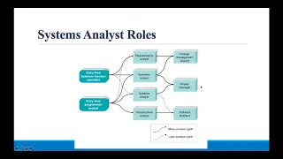 Who is System Analyst ?