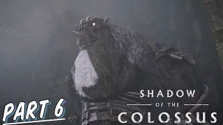 SHADOW OF THE COLOSSUS Part 6 (PS5) | “MINOTAUR B” | Walkthrough Gameplay