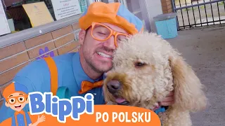 Opieka nad zwierzętami | Blippi po polsku | Nauka i zabawa dla dzieci