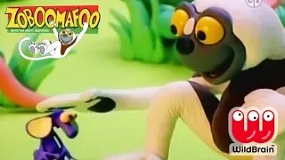 Zoboomafoo | Episode: Making Friends With Pets | Animals For Kids