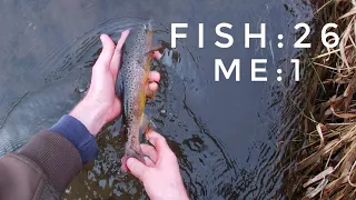 Driftless Fly Fishing - Brown Trout on the Rise