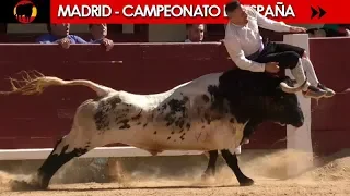 ✅ FINAL DEL CAMPEONATO DE ESPAÑA DE RECORTADORES CON TOROS 2018 - MADRID 07/10/2018