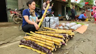 Harvesting Sugarcane Garden goes to the market sell | Lý Thị Ca