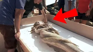 10 REAL LIFE MERMAIDS Caught On Camera