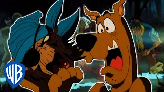 Scooby-Doo! po Polsku | To nie jest maska! | WB Kids