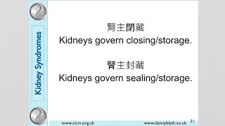 Kidney 腎 syndromes in Traditional Chinese Medicine