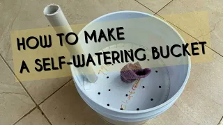 MAKE A SELF-WATERING BUCKET/AUTOMATIC WATERING SYSTEM FOR PLANTS