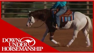Clinton Anderson Presents: Titan a Legend in the Making, Lesson 11, Part 1 - Downunder Horsemanship