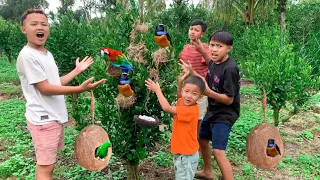 Di Hutan Kering Seperti Ini, Ada Banyak Banget Sarang Burung