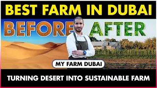 Best Sustainable Farm in Dubai | My Farm Dubai | Agriculture in Desert | Farming in Sandy Soil