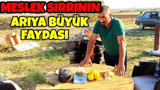 MESLEK SIRRININ ARIYA BÜYÜK FAYDASI VAR HAZIRLANIŞI!!!