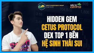 Hidden Gem Cetus Protocol DEX Top 1 Bên Hệ Sinh Thái Sui Và Aptos - ĐẦU TƯ CRYPTO