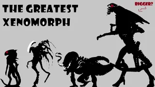 Xenomorph Size Comparison |the greatest xenomorph| Satisfying Video🎥