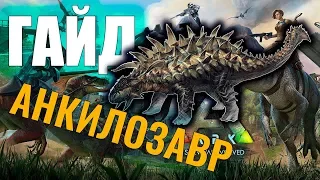 ПРИРУЧЕНИЕ АНКИЛОЗАВРА! #ГАЙД ДЛЯ НОВИЧКОВ! Ark: Survival Evolved #9