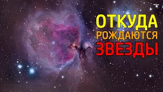 Туманность Ориона откуда рождаются звезды