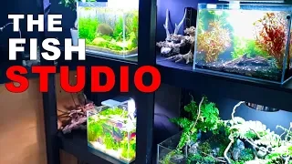 How To Build A Fish Studio VLOG