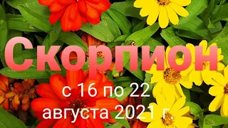 Скорпион Таро - гороскоп с 16 по 22 августа  2021 г.