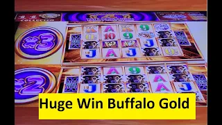 Huge Win on Buffalo Gold Super Game!! Wonder 4 Tall Fortunes Slot